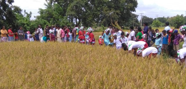 Kethaka Varuna Cultural Program